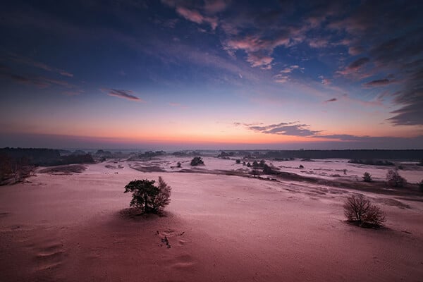 De Hoge Veluwe